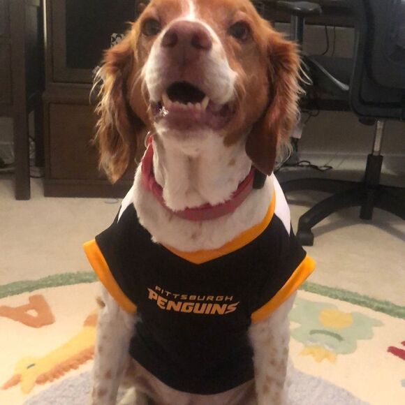 Pittsburgh Penguins Dog Jersey Size L - Picture 2 of 9